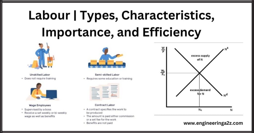 explain-labour-types-characteristics-efficiency